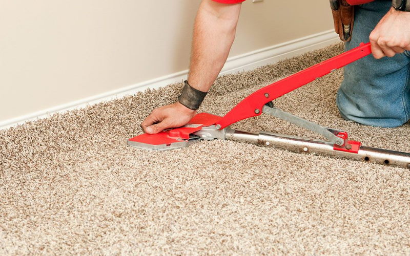 carpet cleaning Notting Hill services available